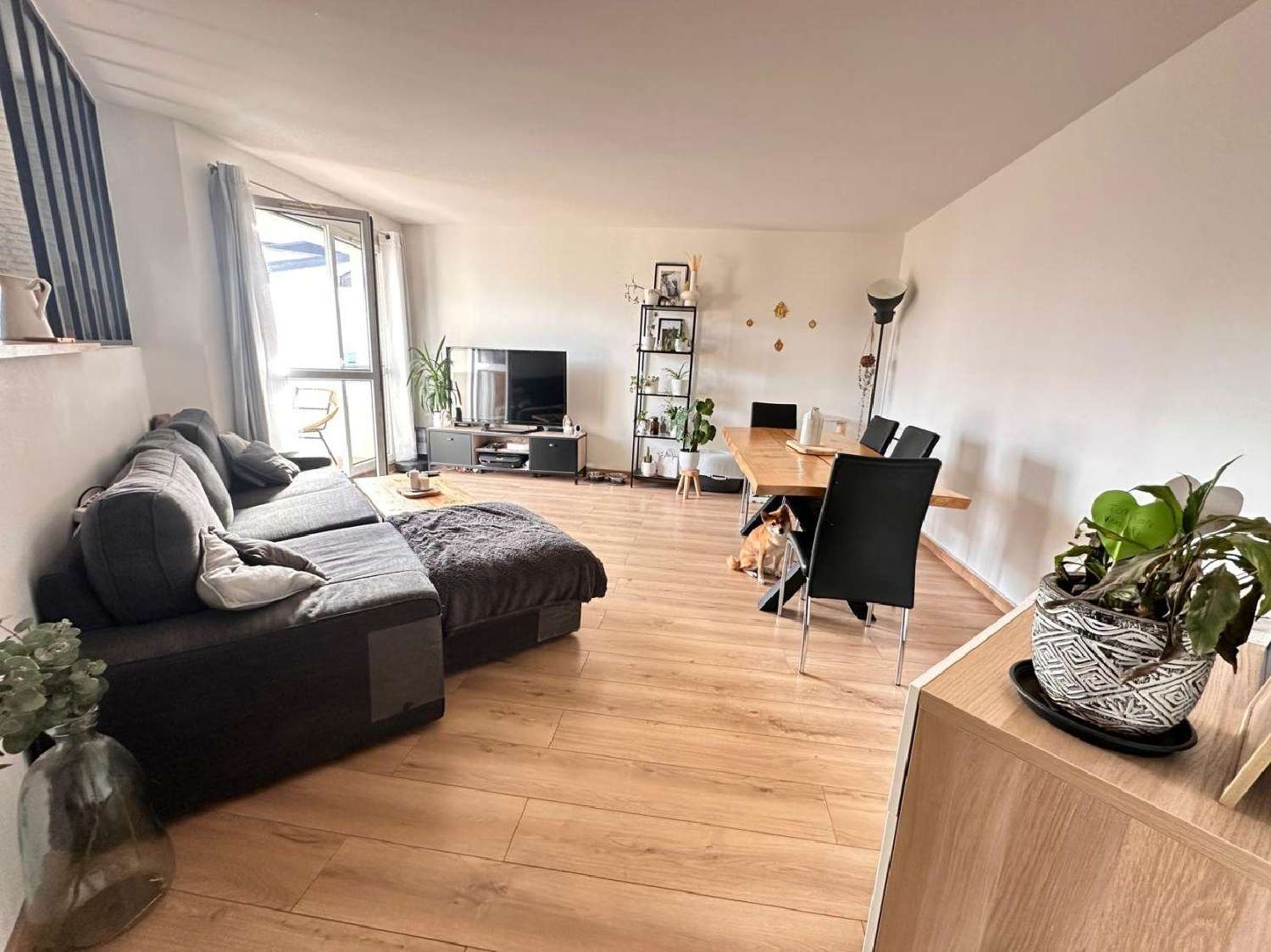  te koop appartement Noiseau Val-de-Marne 1