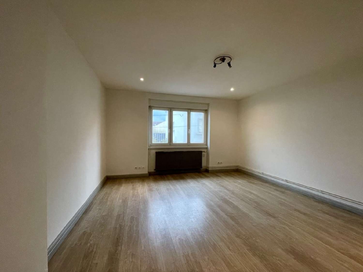  te koop appartement Saint-Dié Vogezen 2