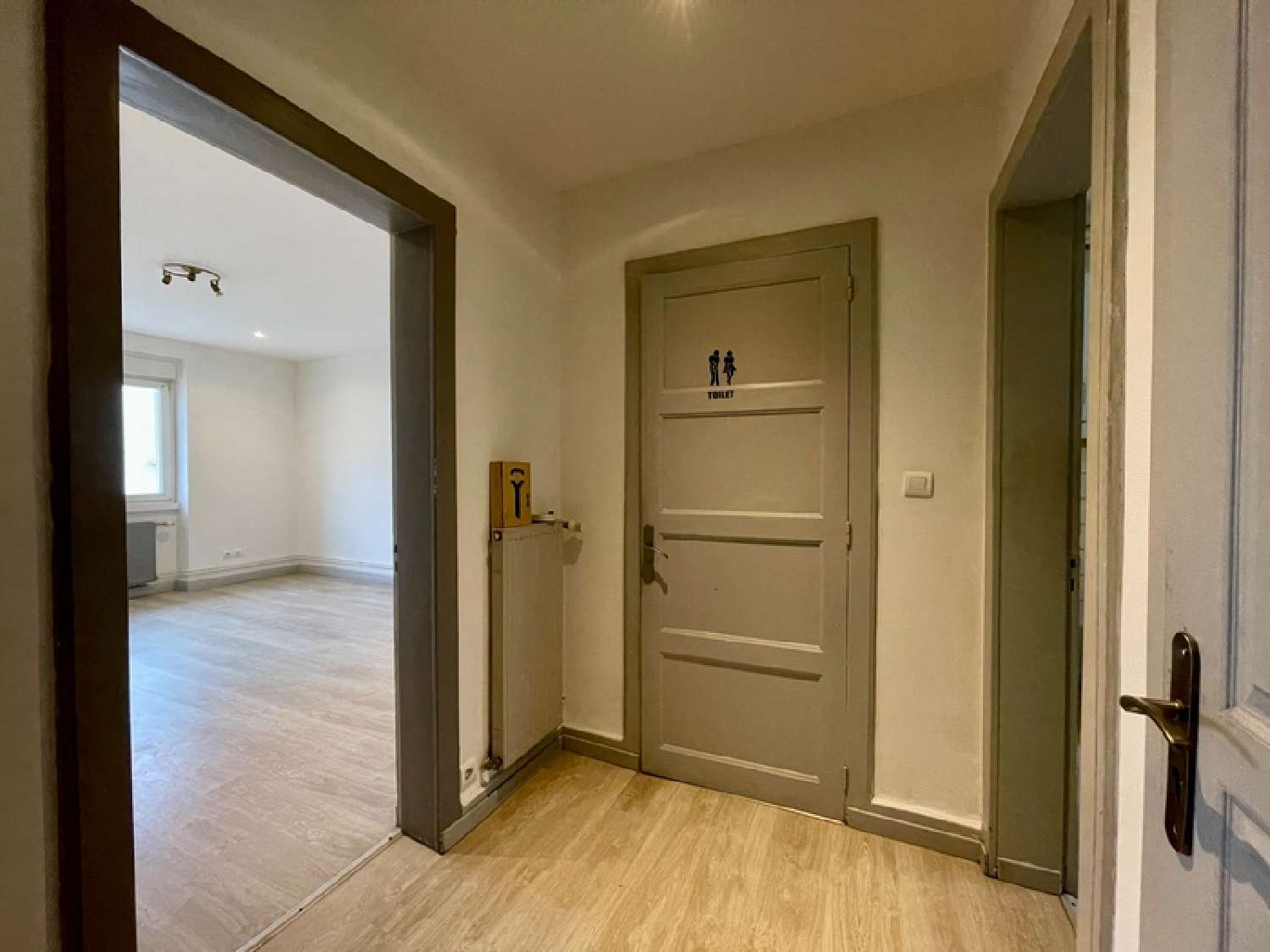  te koop appartement Saint-Dié Vogezen 5