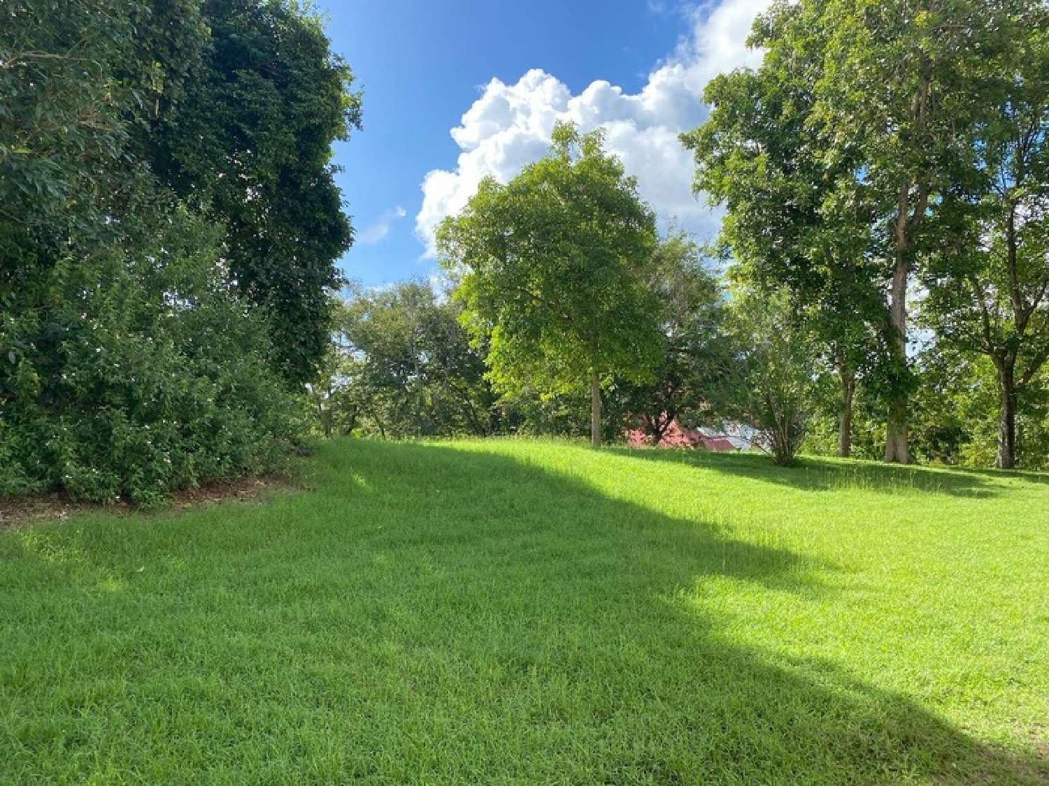 for sale apartment Sainte-Anne Guadeloupe 5