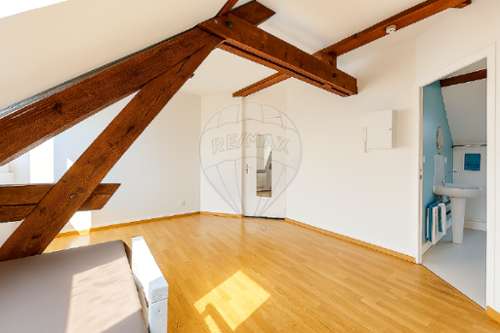 Sainte-Savine Aube Wohnung/ Apartment Bild 7265590