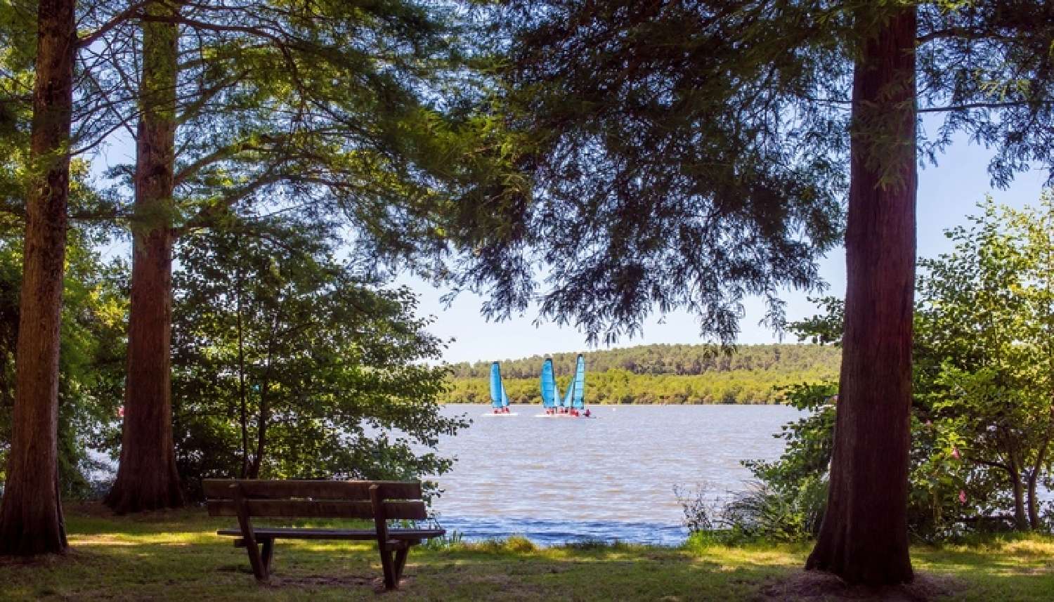  te koop appartement Soustons Landes 3