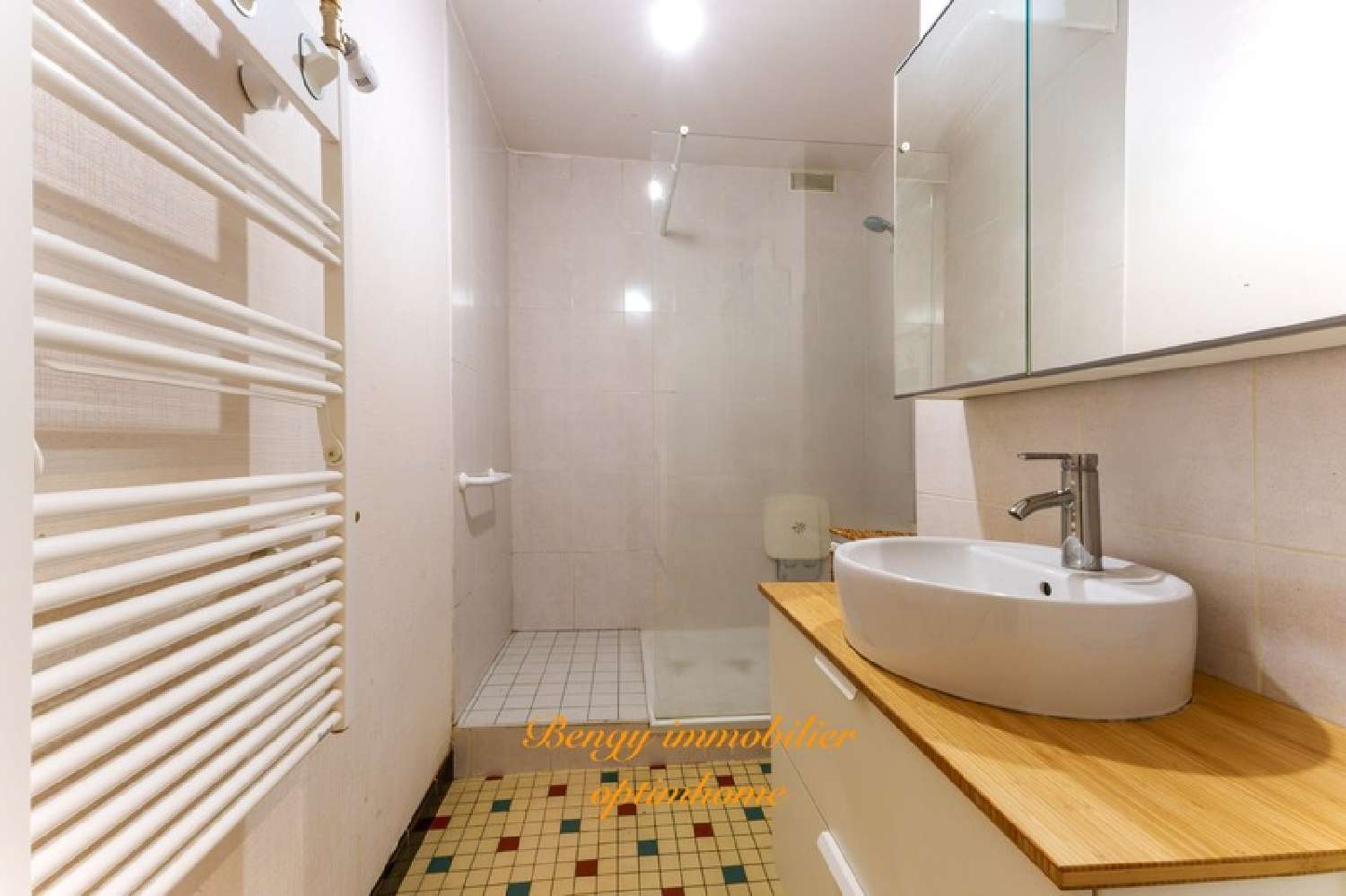 à vendre appartement Tours 37100 Indre-et-Loire 8