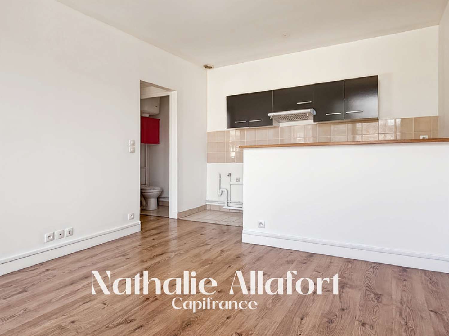  à vendre appartement Villejuif Val-de-Marne 3