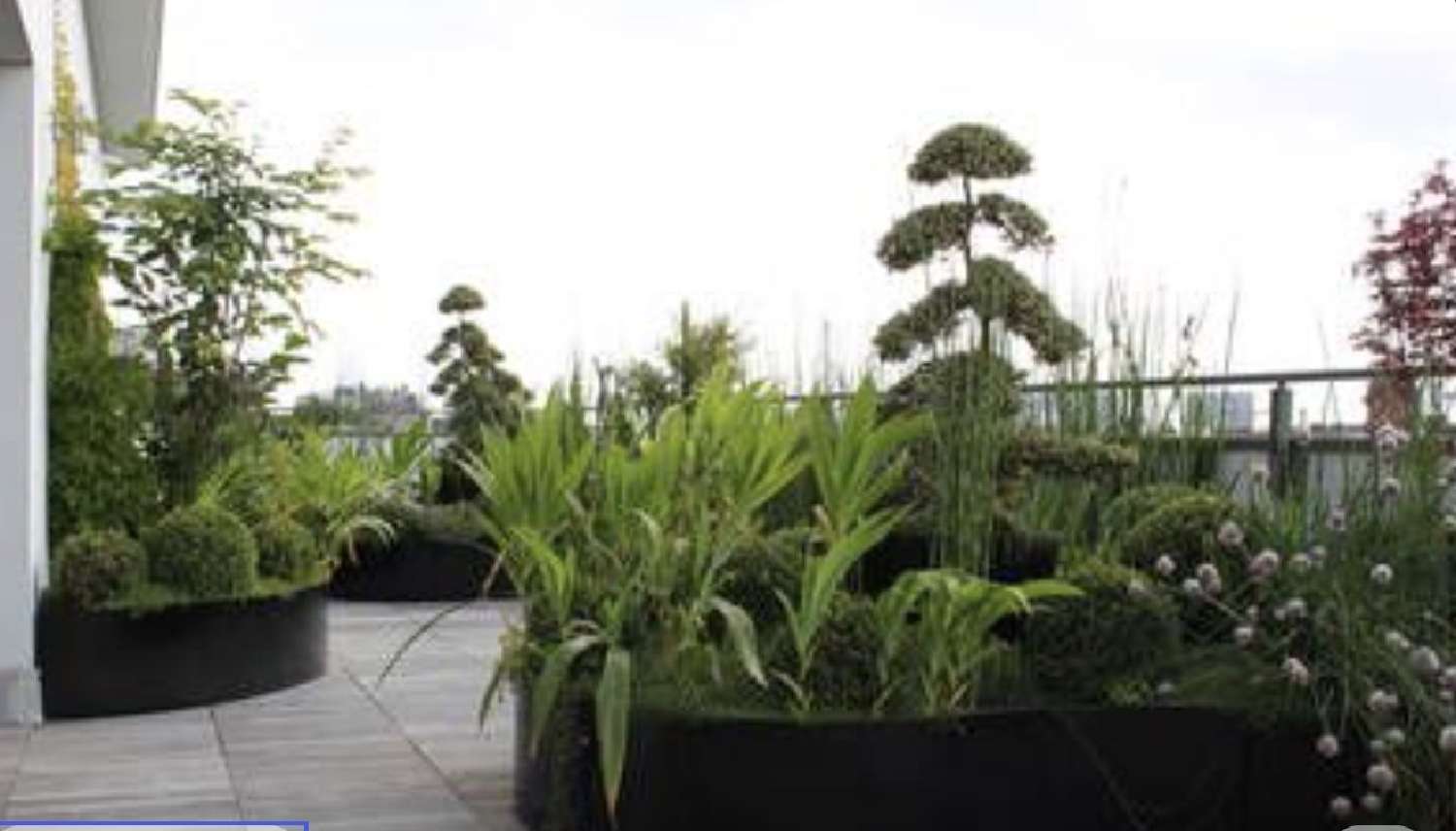  te koop appartement Villeurbanne Rhône 2