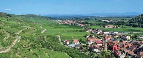 Wintzenheim Haut-Rhin apartment foto 7261477