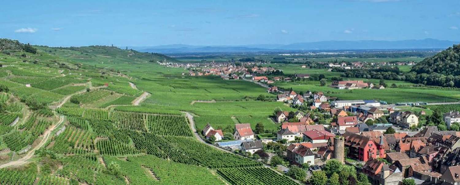  for sale apartment Wintzenheim Haut-Rhin 5