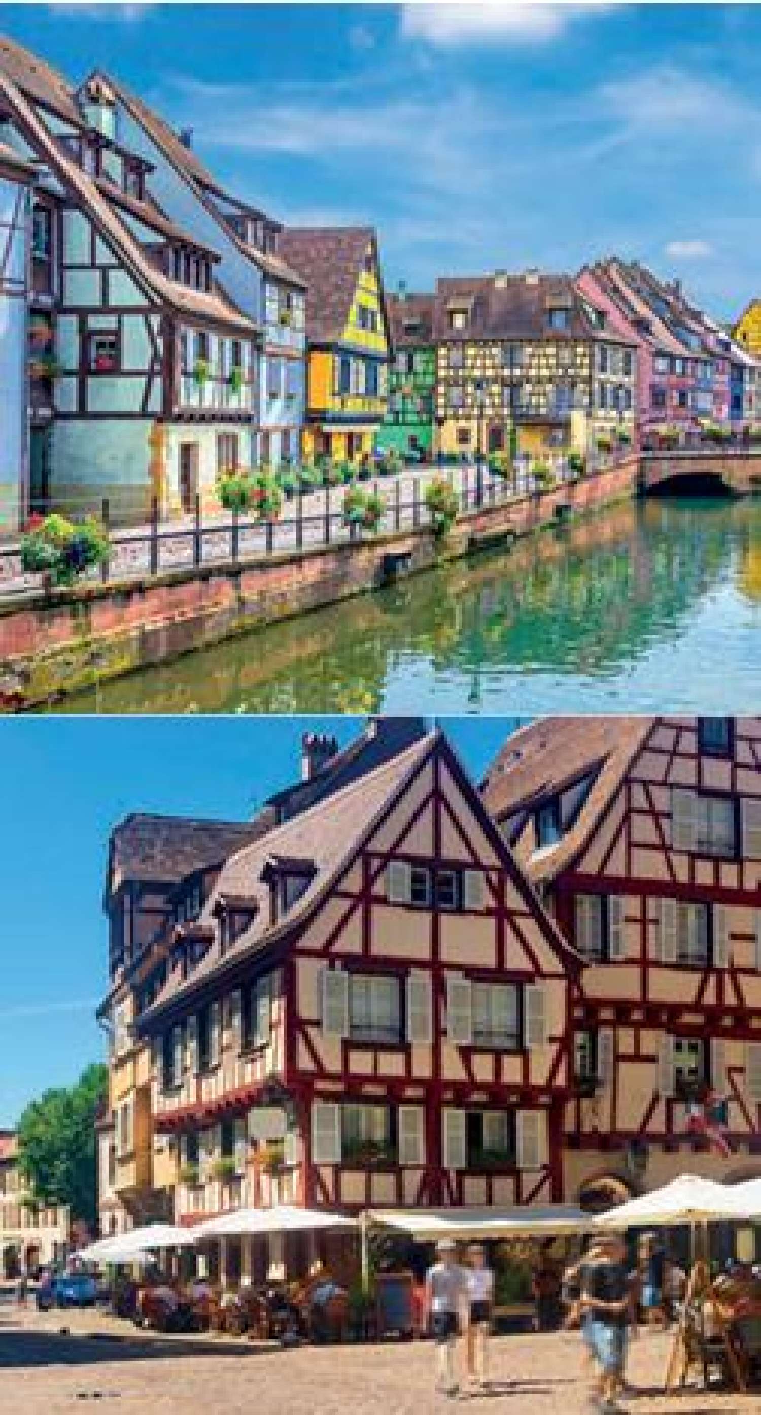  for sale apartment Wintzenheim Haut-Rhin 5