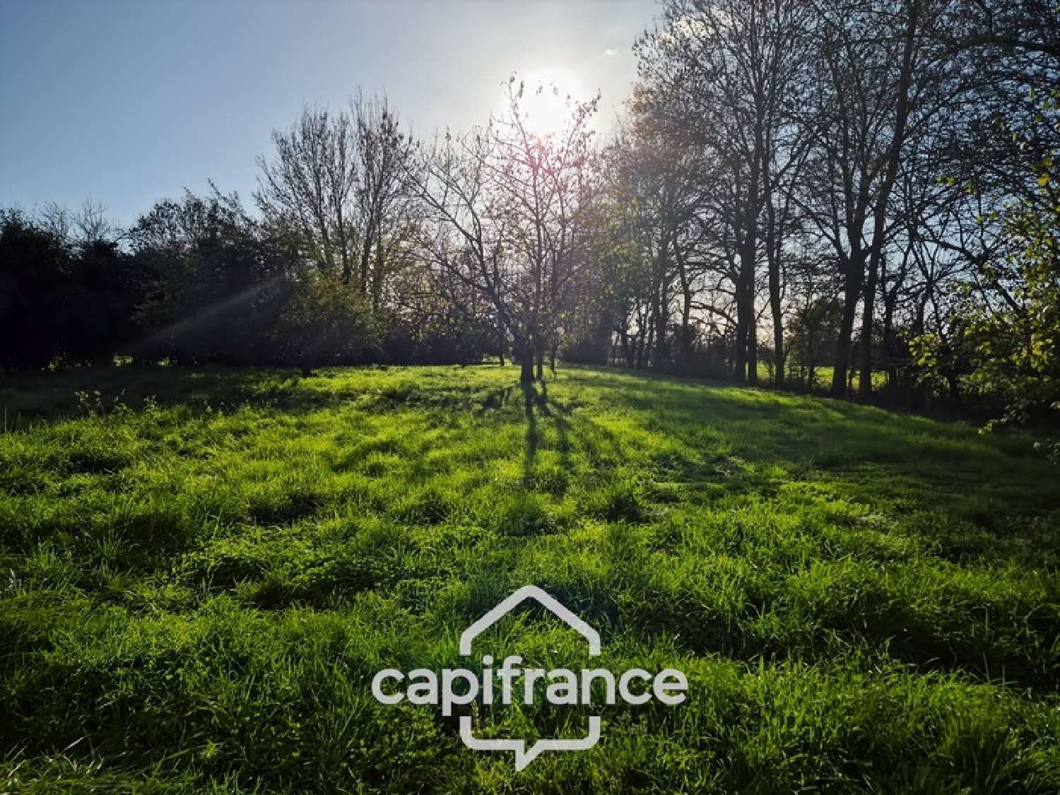  for sale barn Landes Charente-Maritime 4