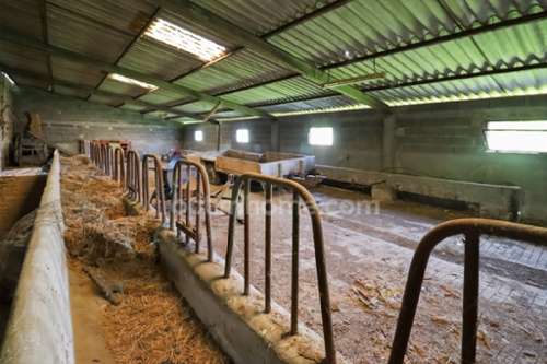  te koop schuur Saint-Léger-Magnazeix Haute-Vienne 3