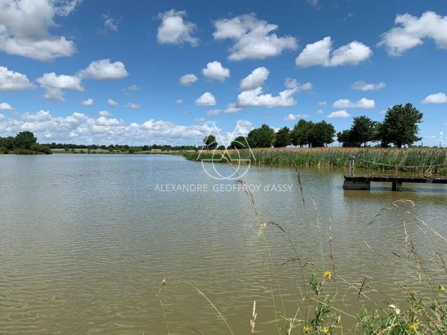  kaufen Schloss Angers Maine-et-Loire 4