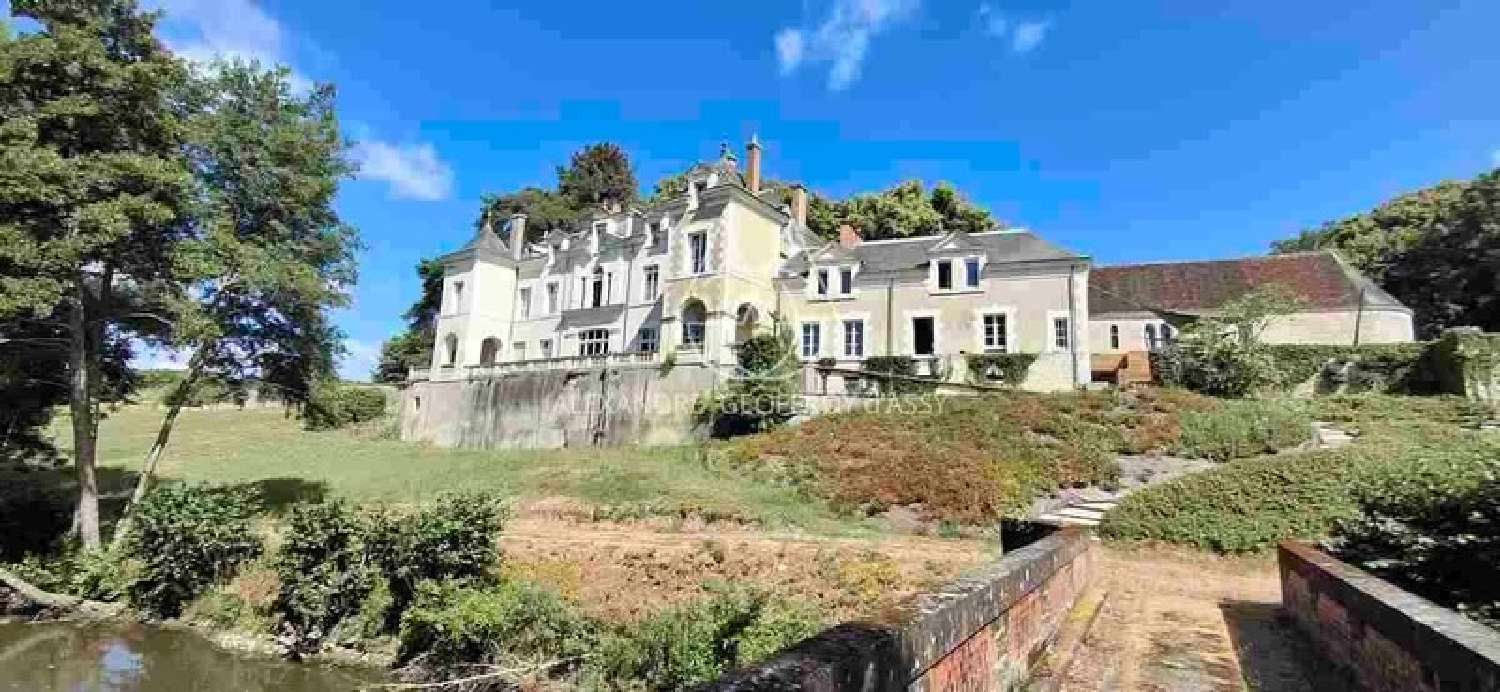  for sale castle Blois Loir-et-Cher 1