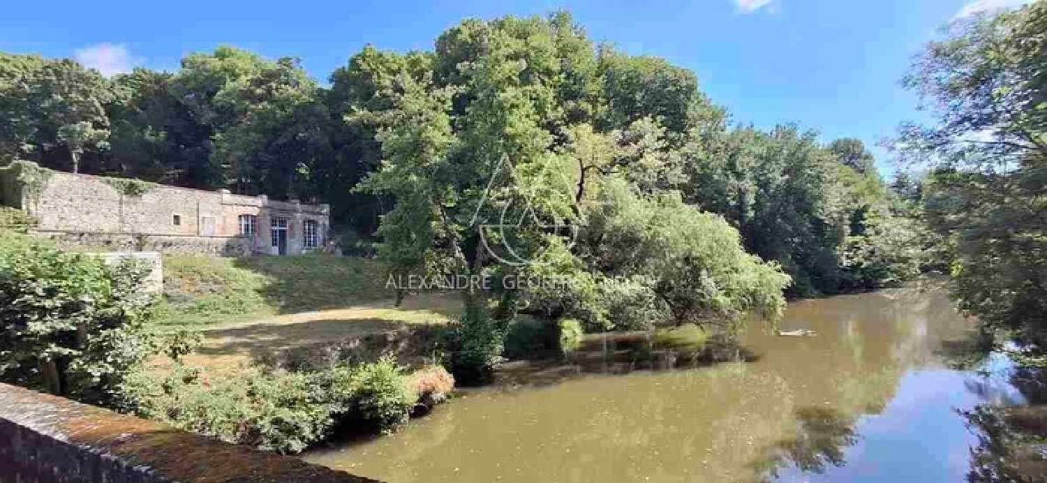  for sale castle Blois Loir-et-Cher 4