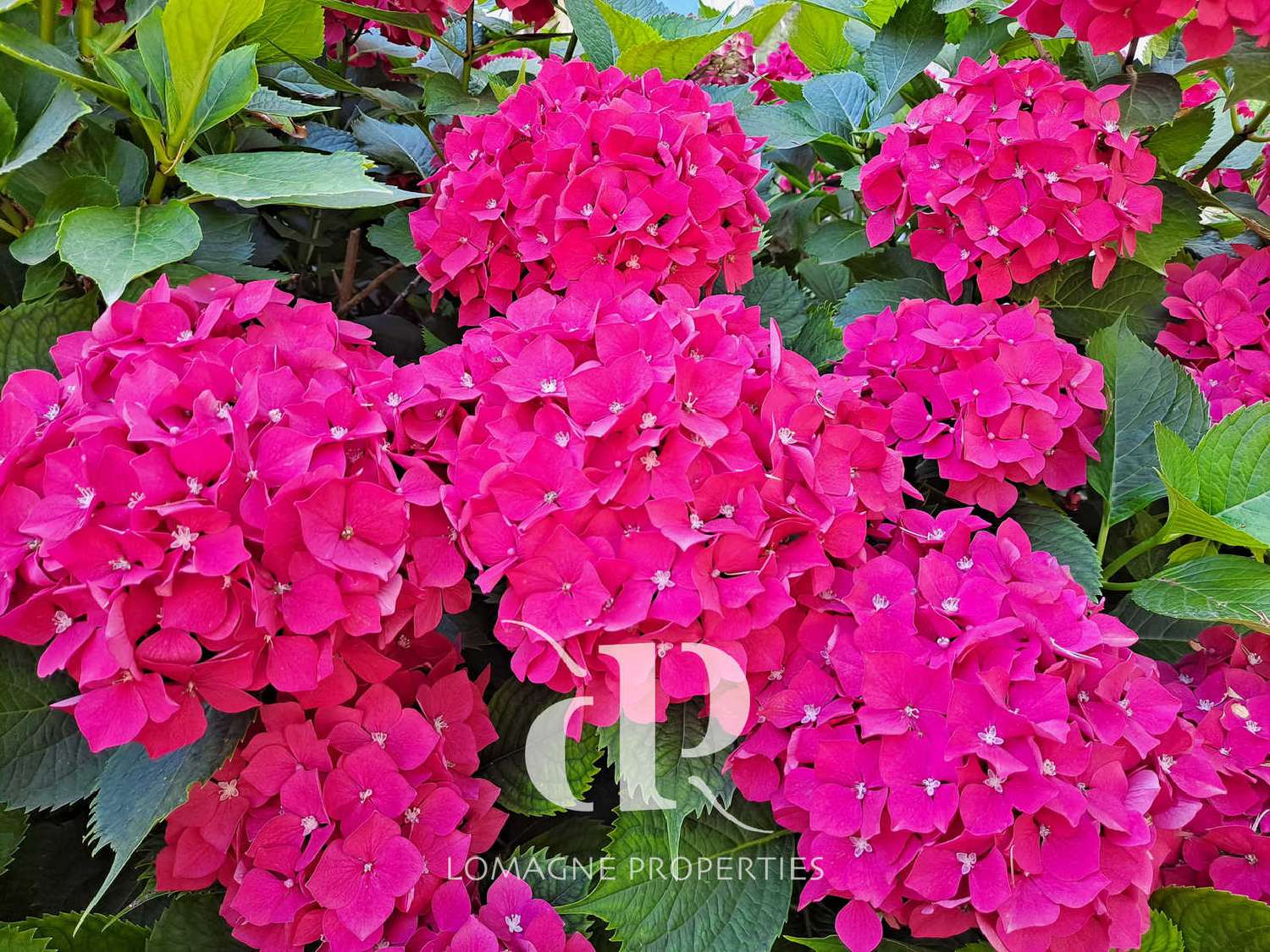 en venta castillo Condom Gers 3