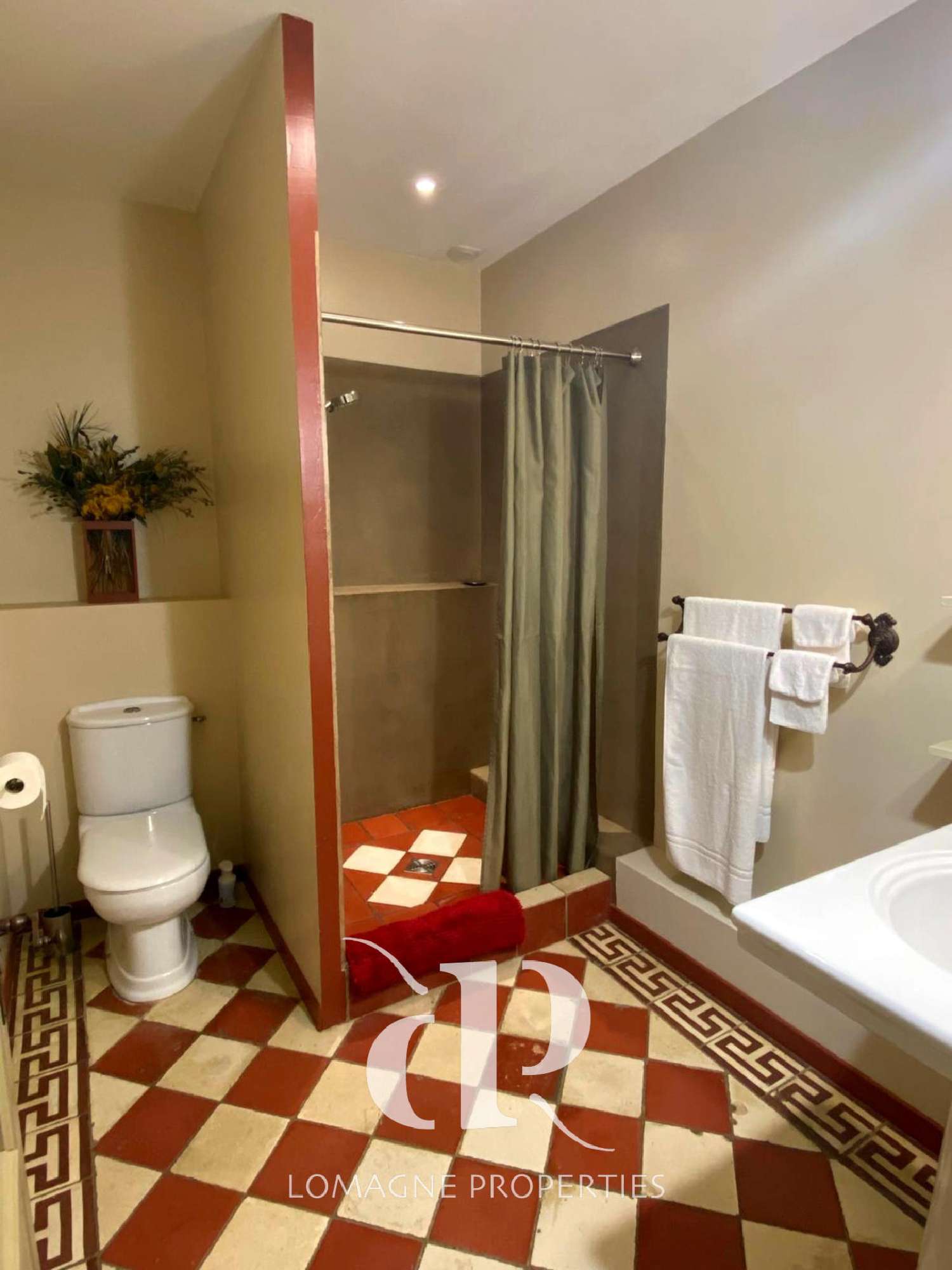 en venta castillo Condom Gers 5