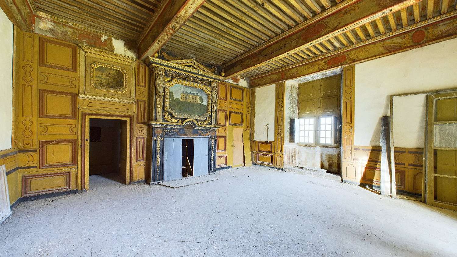  te koop kasteel Dax Landes 5