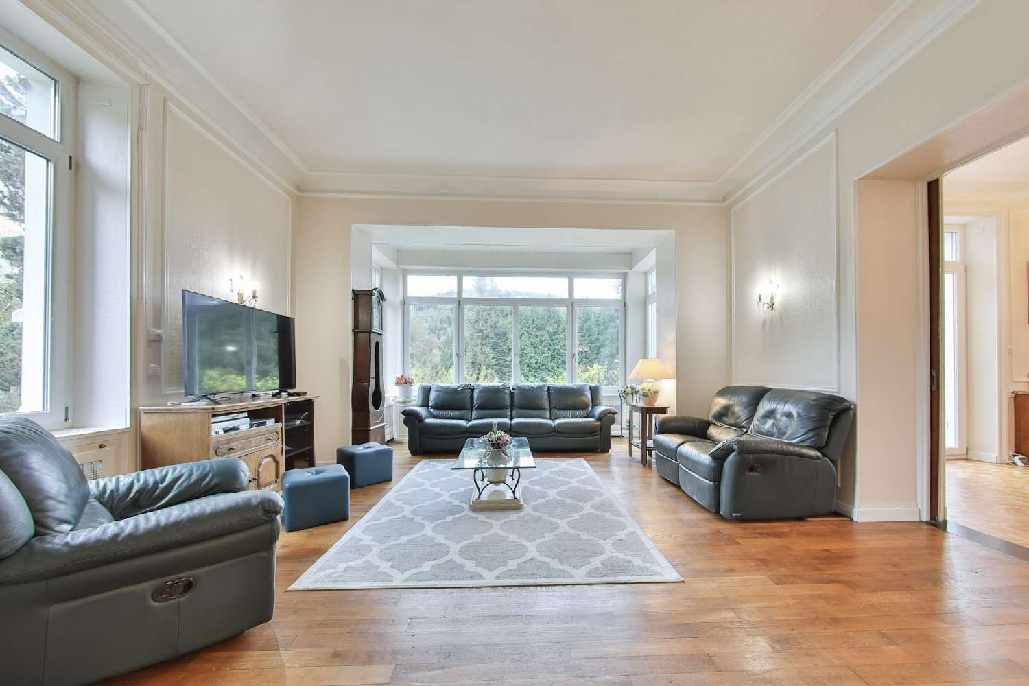  te koop kasteel La Longine Haute-Saône 4