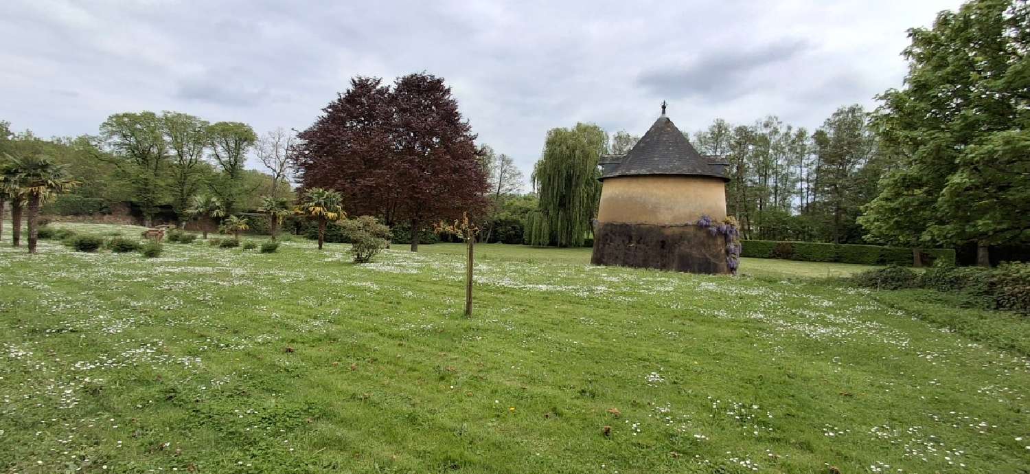  te koop kasteel Le Mans Sarthe 6