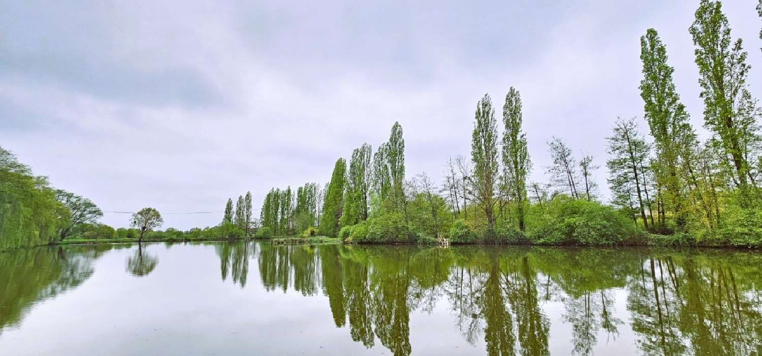  à vendre château Tours Indre-et-Loire 5