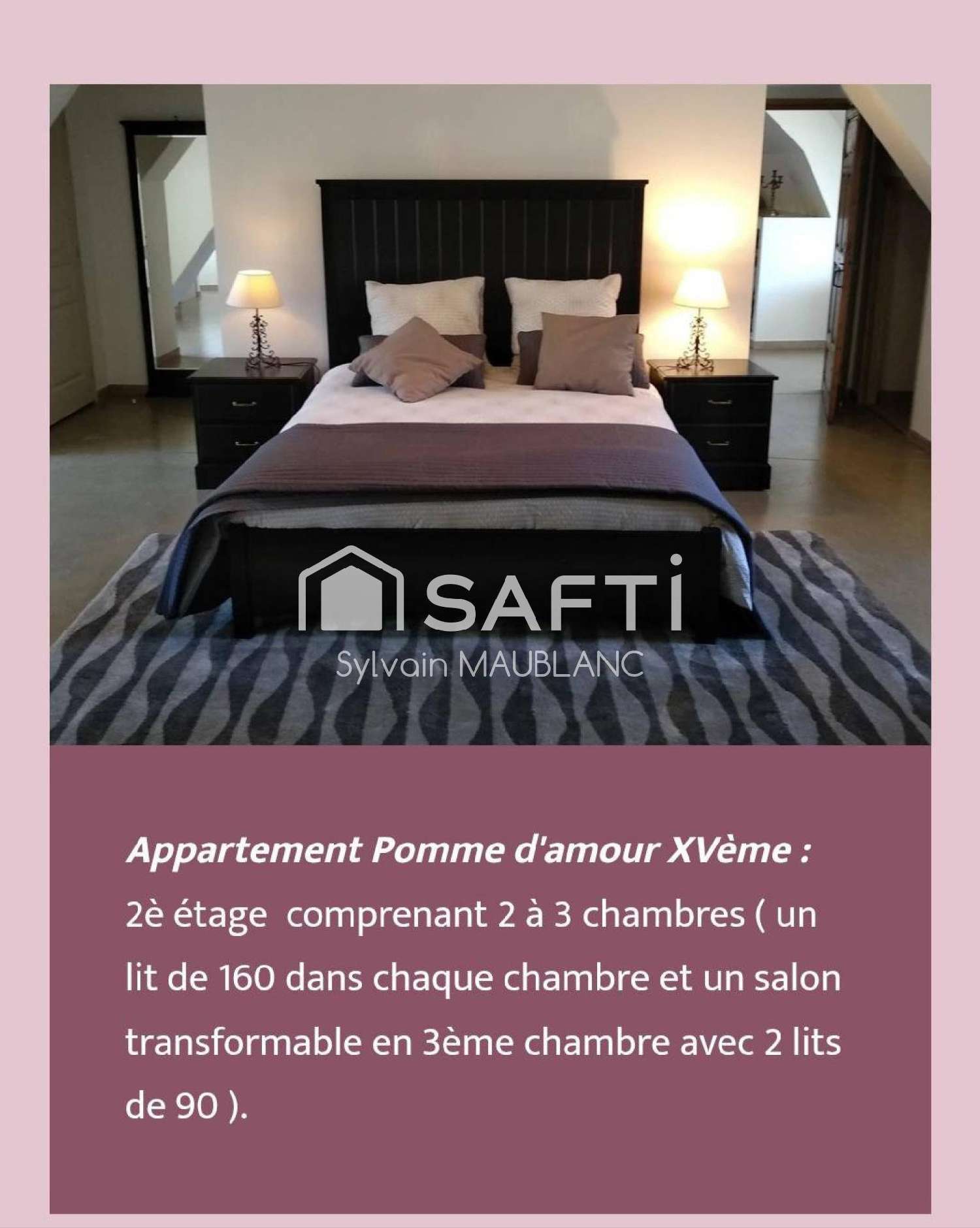  te koop kasteel Vichy Allier 1