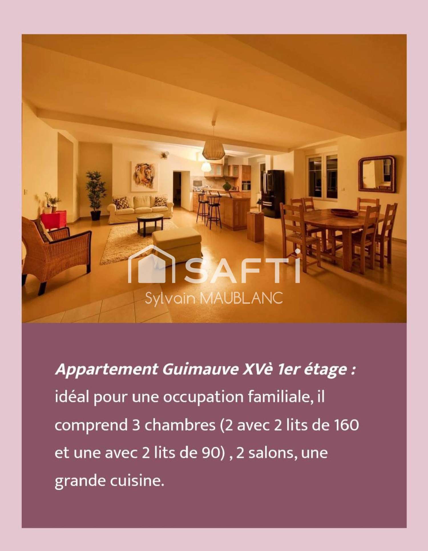  te koop kasteel Vichy Allier 5