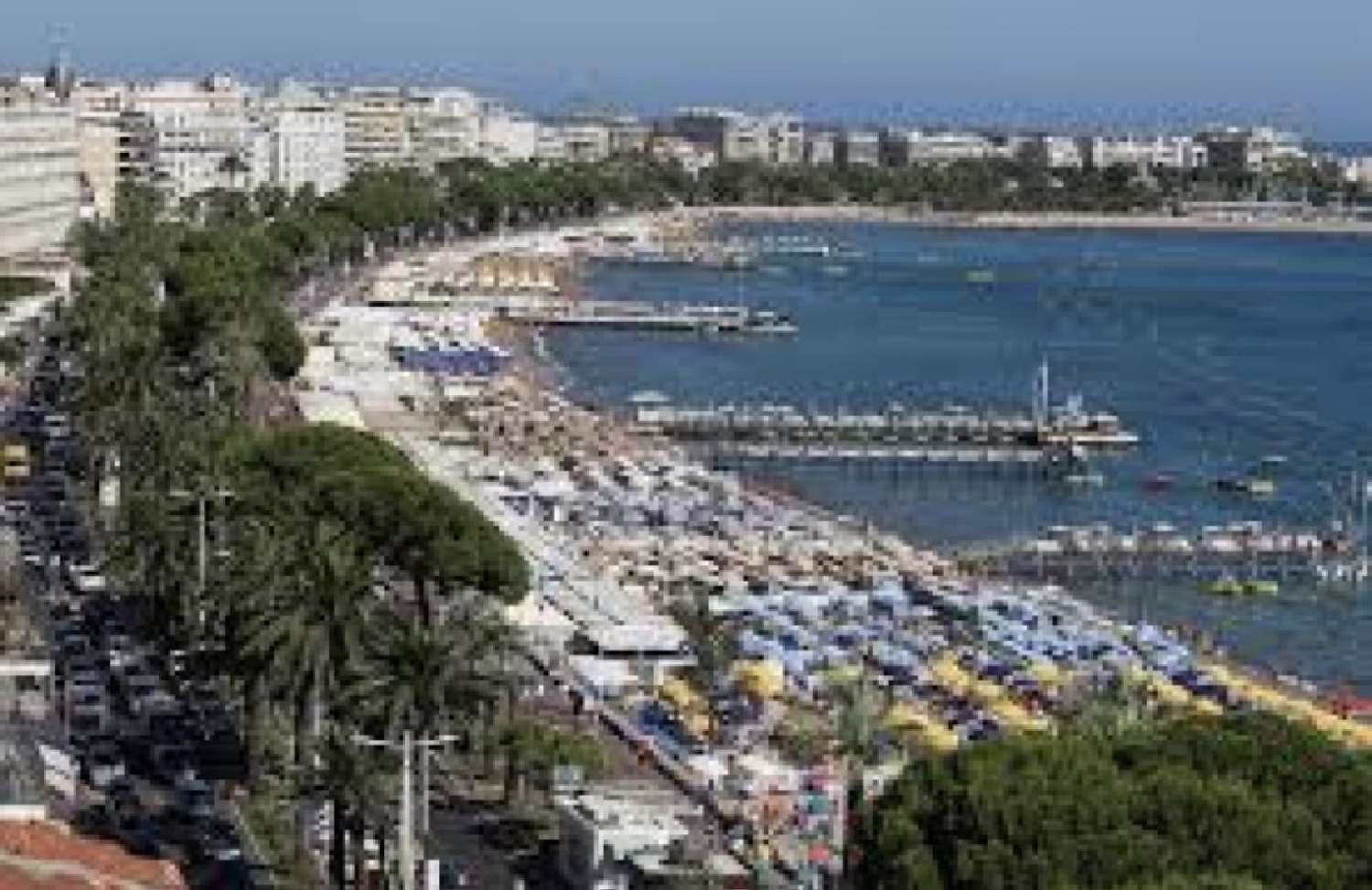  for sale commercial Cannes Alpes-Maritimes 1
