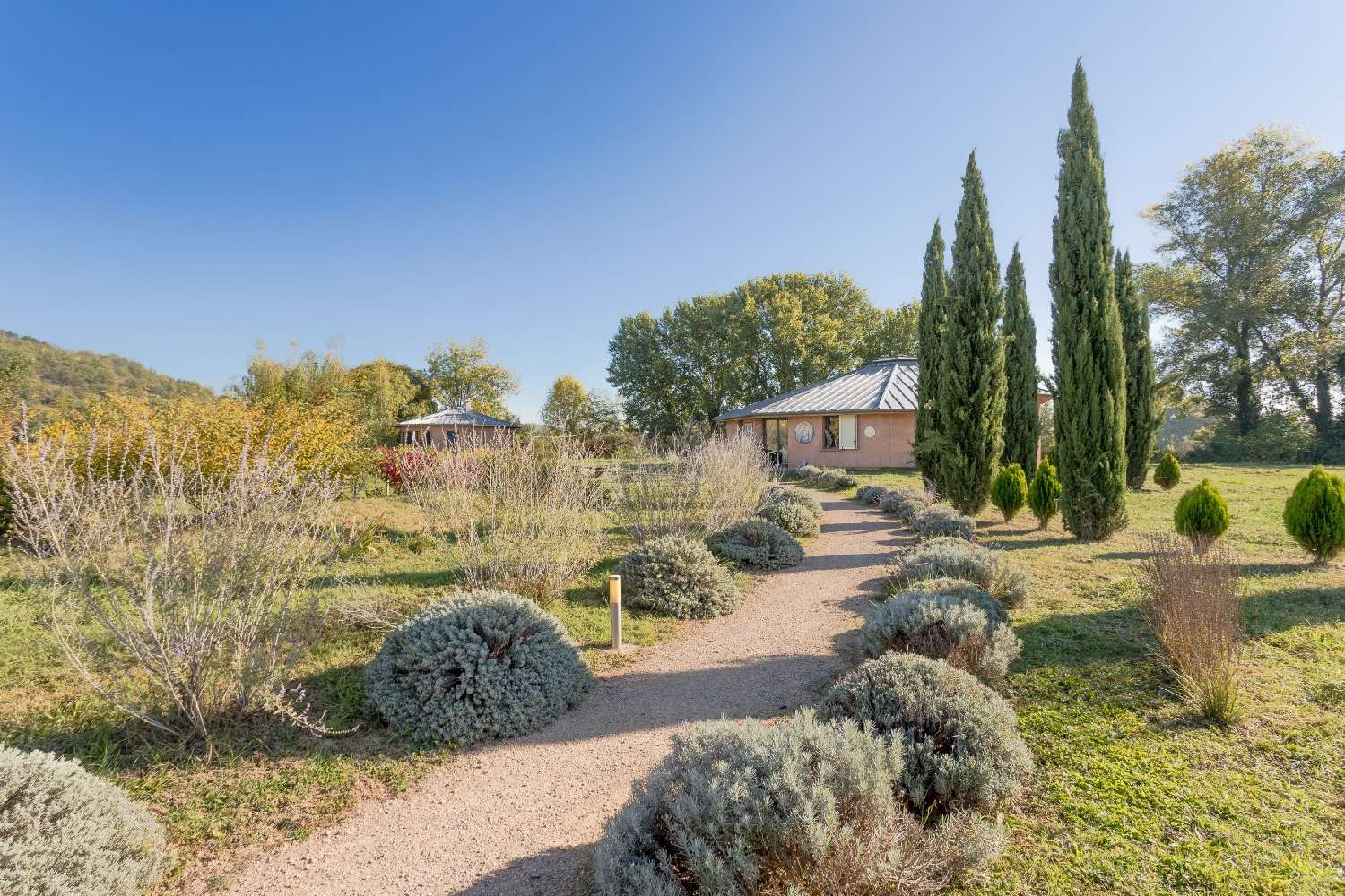  for sale commercial Castelnau-de-Lévis Tarn 5