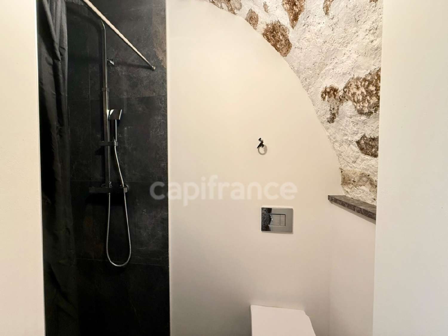  à vendre commerce La Roque-d'Anthéron Bouches-du-Rhône 7