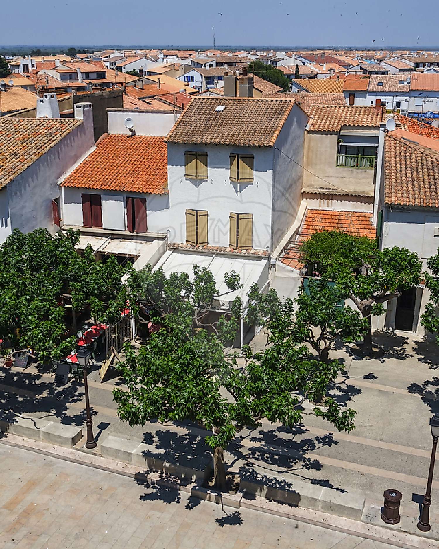  te koop bedrijfsruimte/ kantoor Saintes-Maries-de-la-Mer Bouches-du-Rhône 3