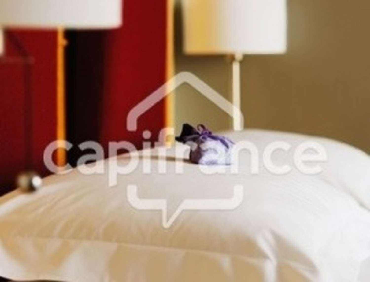  for sale commercial Toulouse Haute-Garonne 1