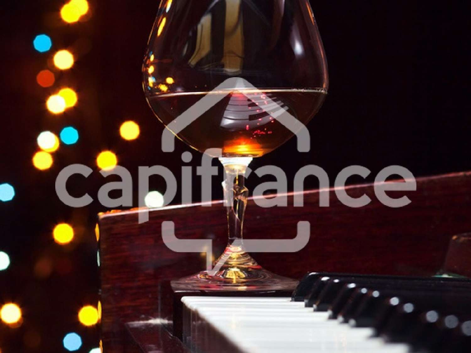 à vendre discothèque La Roche-sur-Yon Vendée 4