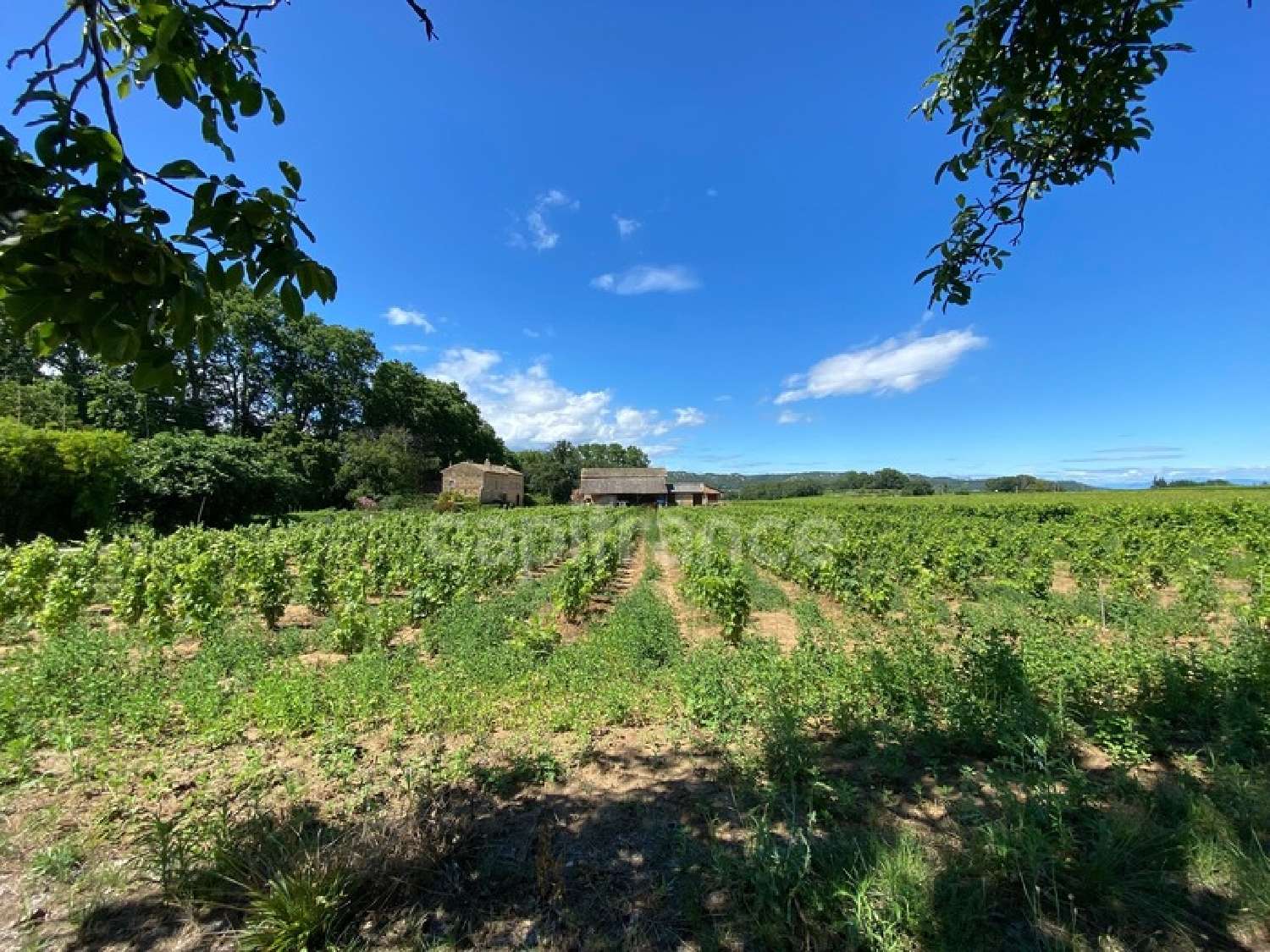  à vendre propriété Bagnols-sur-Cèze Gard 4