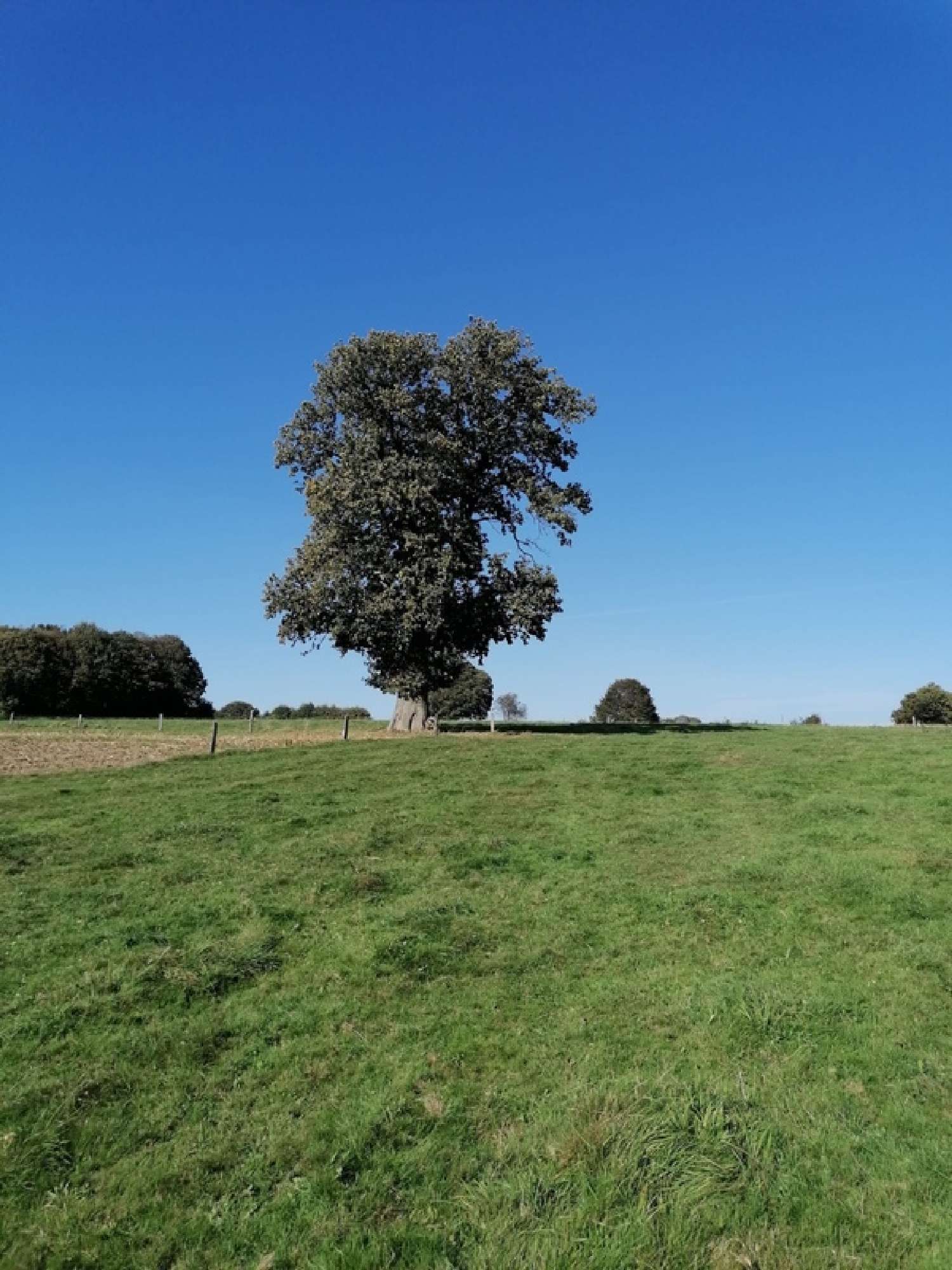  kaufen Landgut Céaucé Orne 1