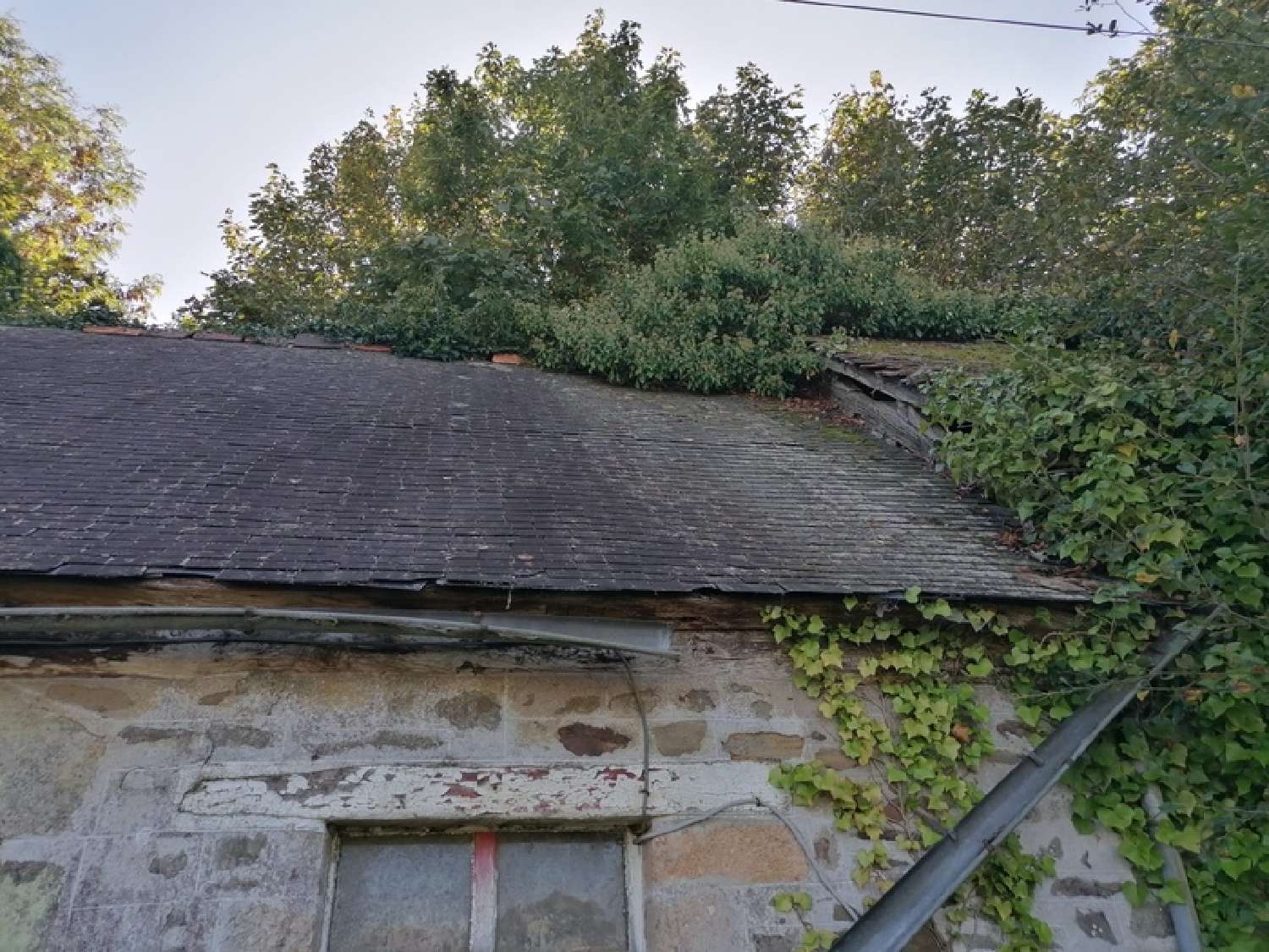  kaufen Landgut Céaucé Orne 3