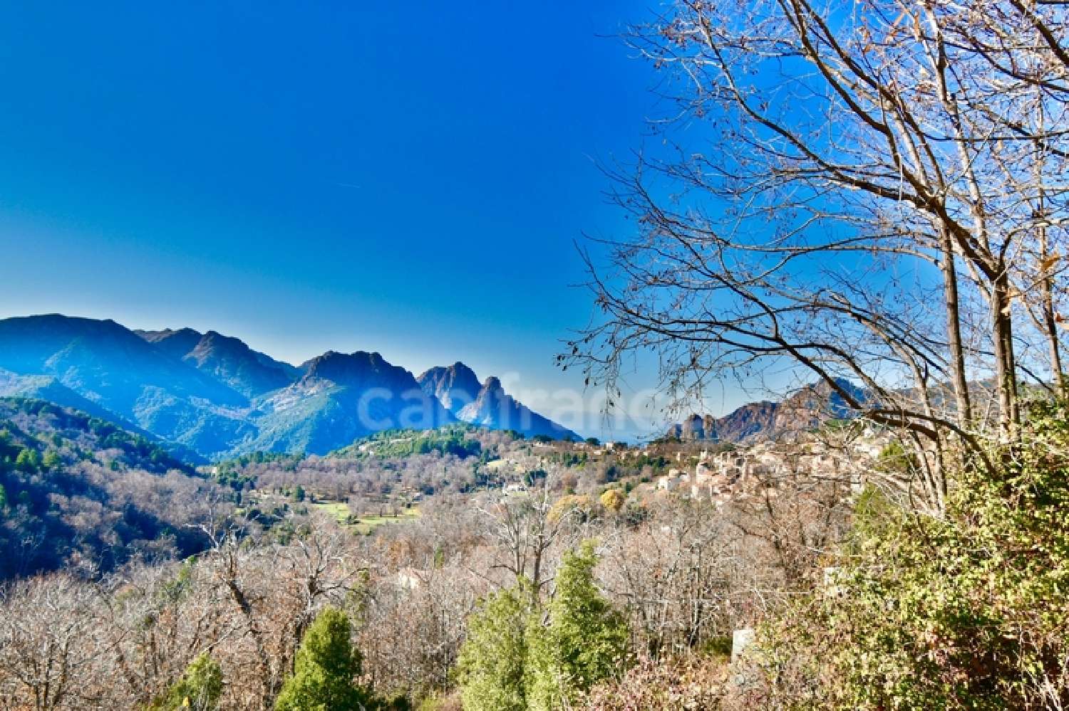  for sale estate Evisa Corse-du-Sud 1