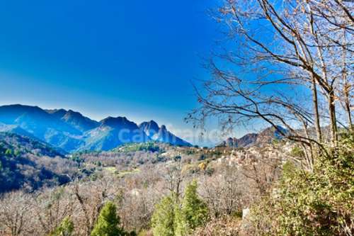 Evisa Corse-du-Sud estate foto 7258836