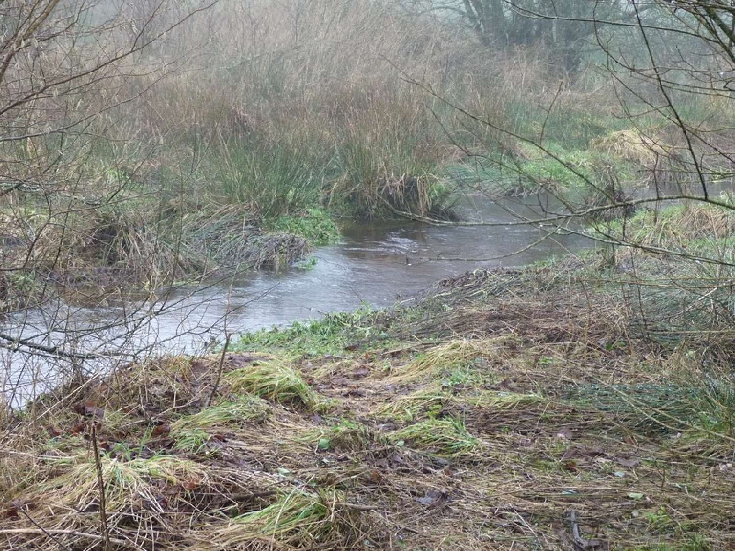  te koop landgoed Gurunhuel Côtes-d'Armor 1