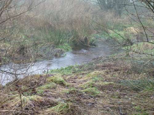 Gurunhuel Côtes-d'Armor landgoed foto 7253350