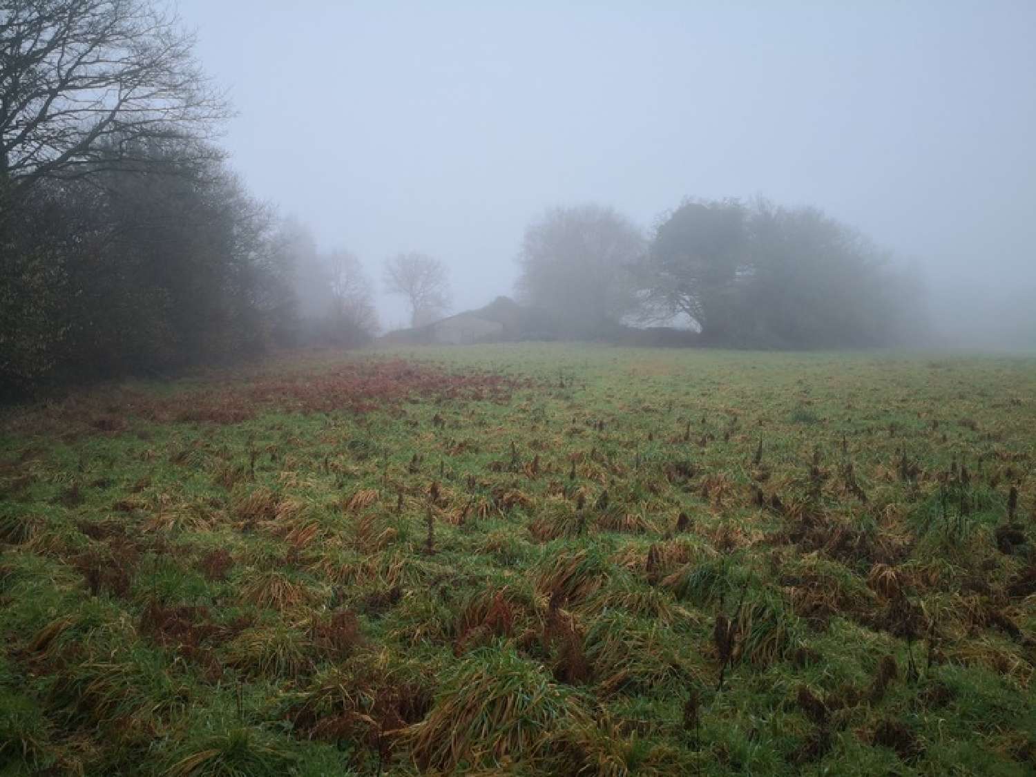  te koop landgoed Gurunhuel Côtes-d'Armor 2