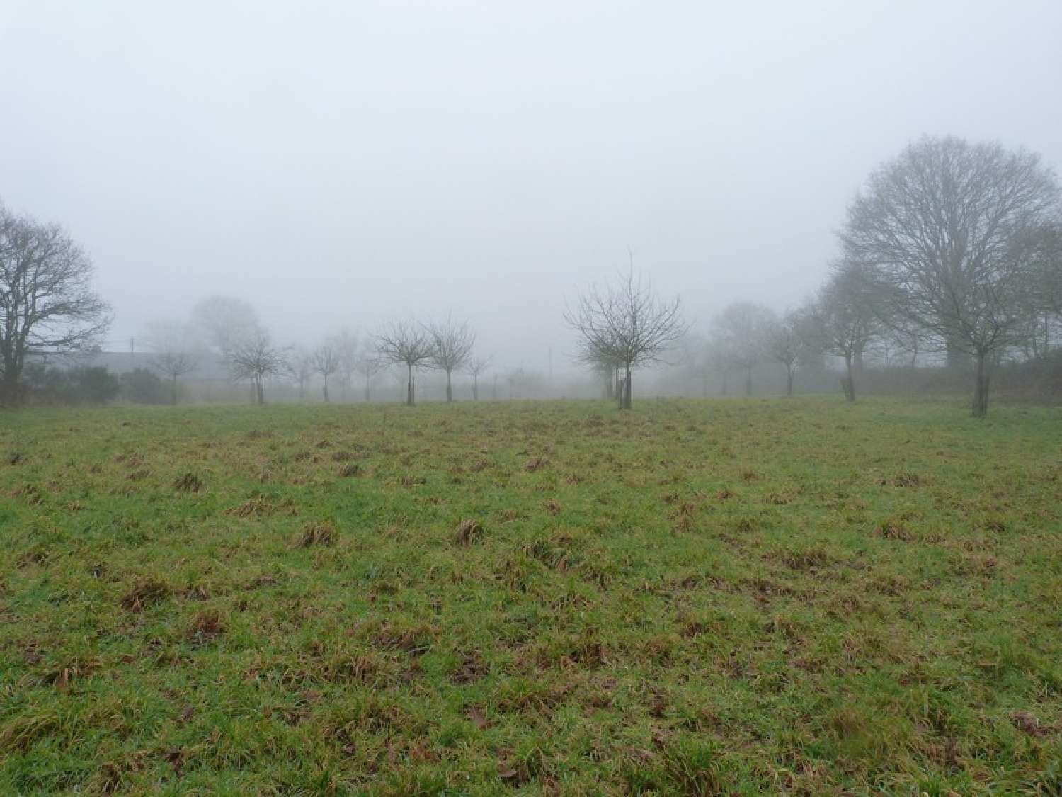  te koop landgoed Gurunhuel Côtes-d'Armor 3