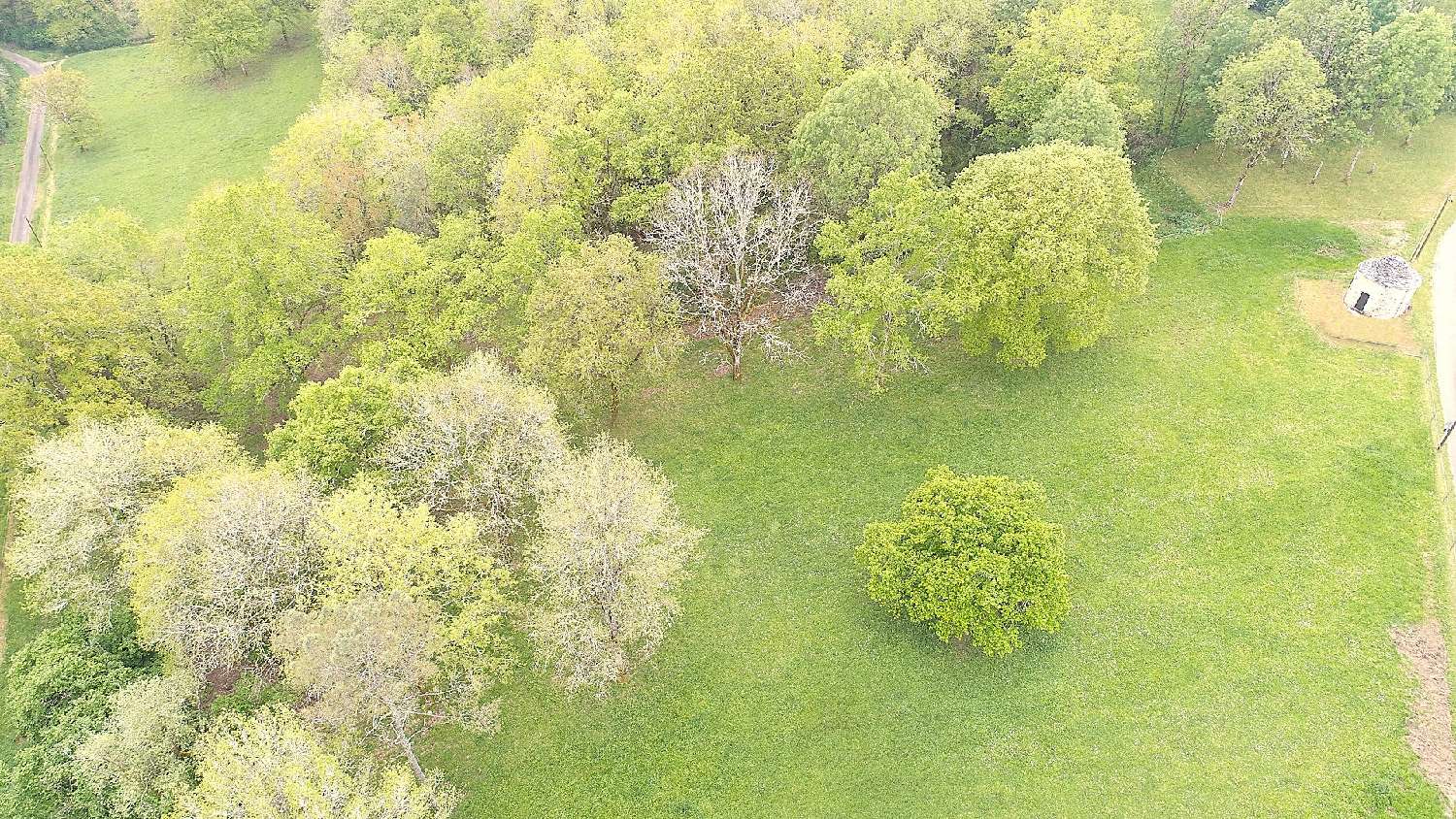  for sale estate Luzech Lot 3