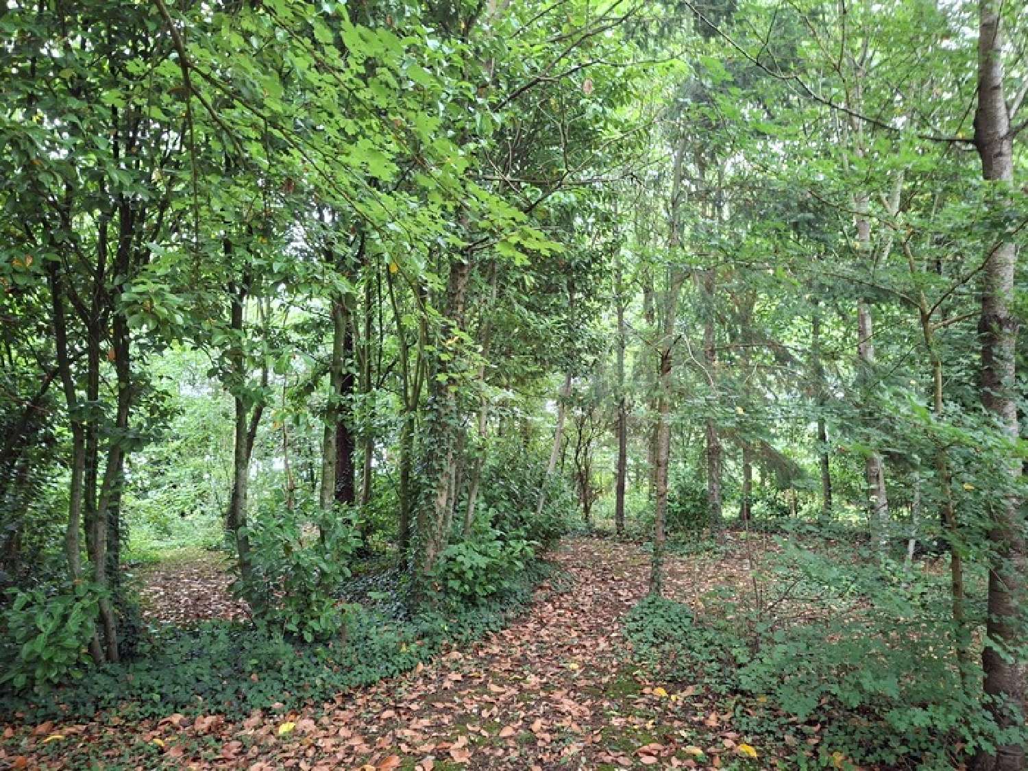 for sale estate Marolles-les-Braults Sarthe 2