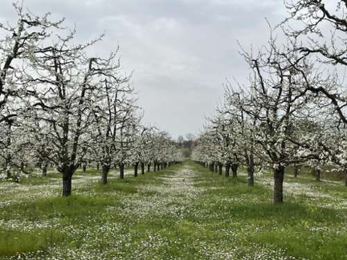 Mirabel Tarn-et-Garonne finca rústica foto 7266348