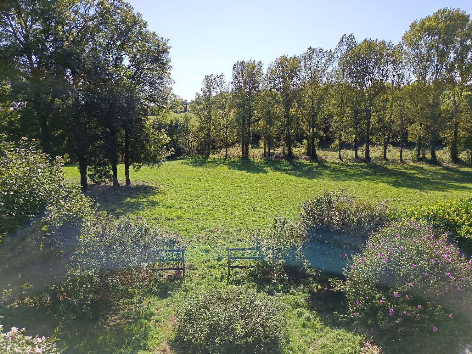  à vendre propriété Mirandol-Bourgnounac Tarn 5