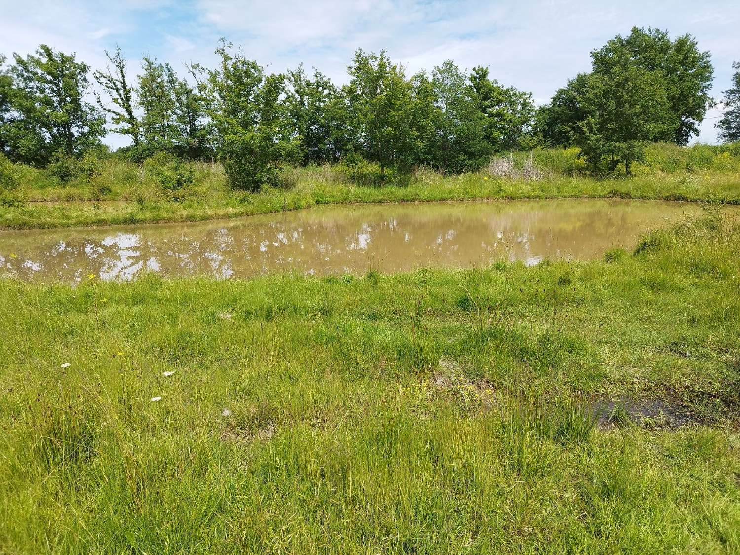  te koop landgoed Montauban Tarn-et-Garonne 6