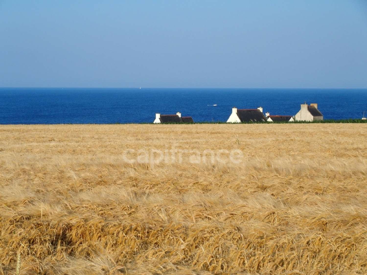  à vendre propriété Plozévet Finistère 6