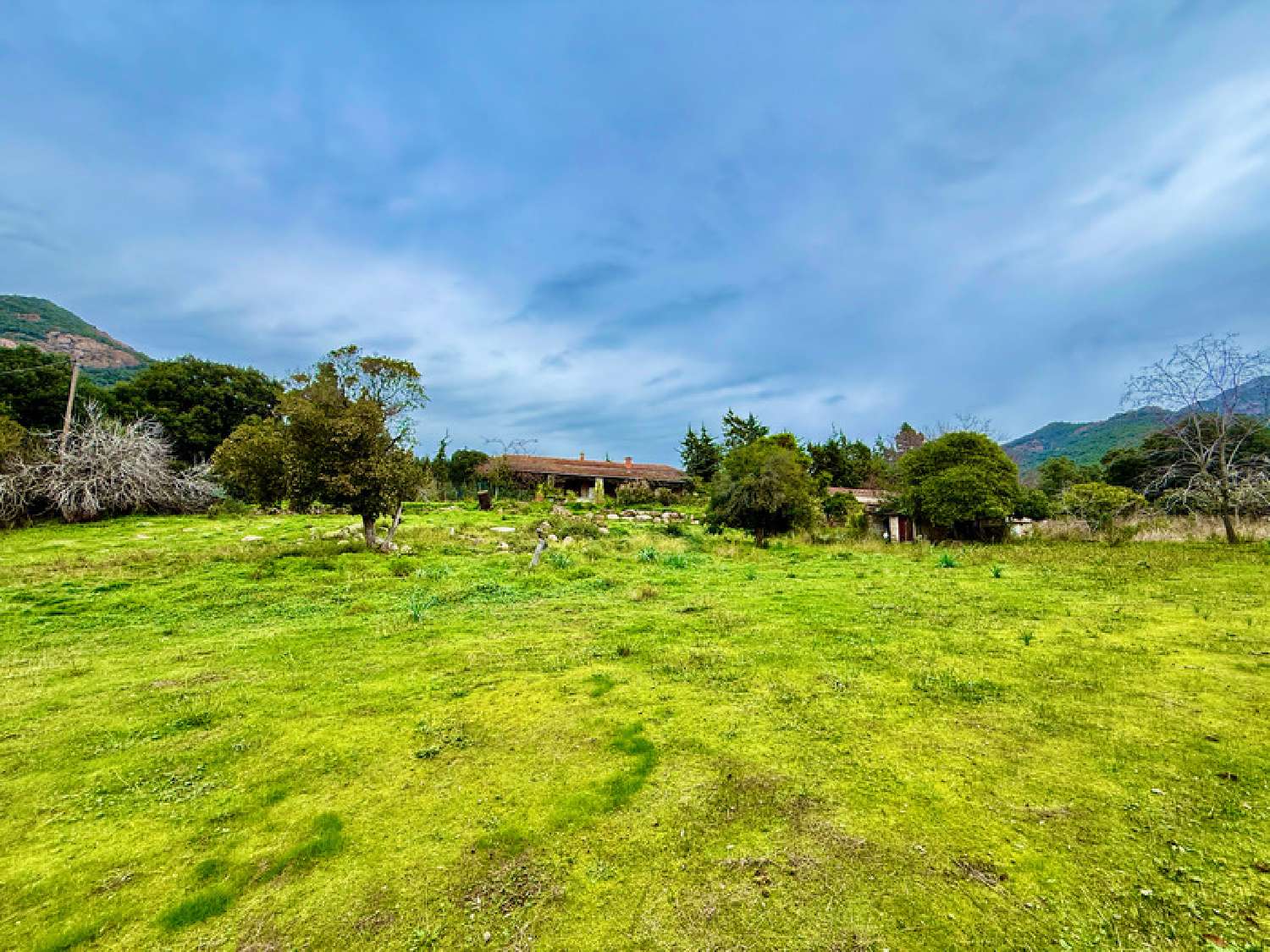  for sale estate Sagone Corse-du-Sud 1