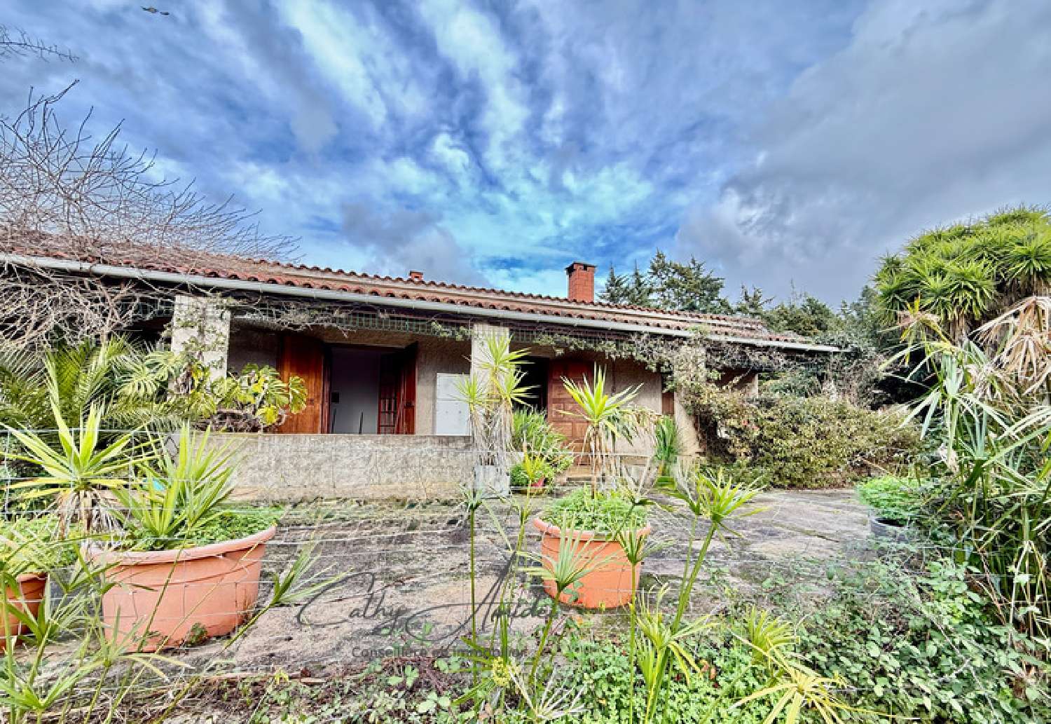  for sale estate Sagone Corse-du-Sud 2