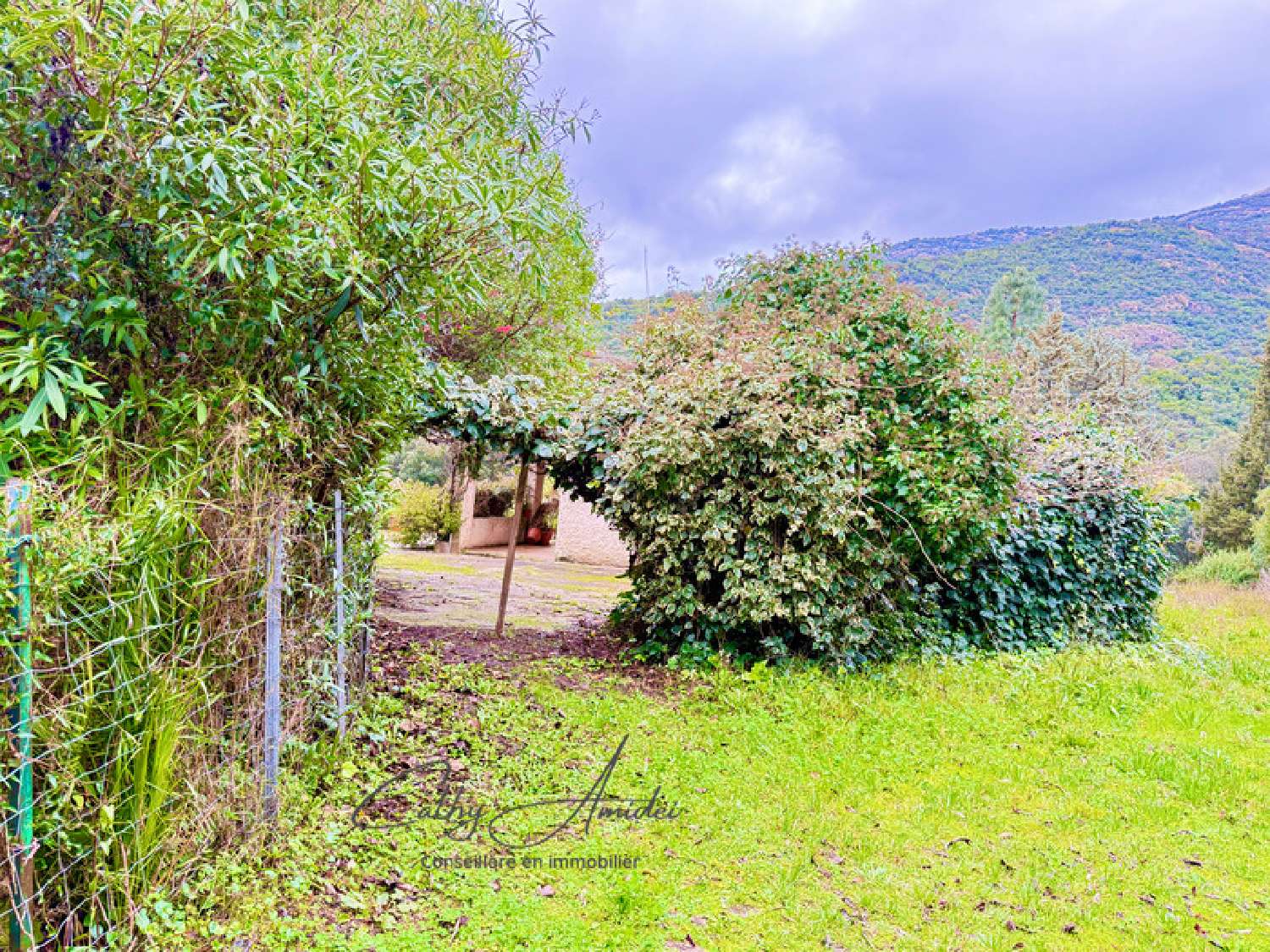  for sale estate Sagone Corse-du-Sud 4