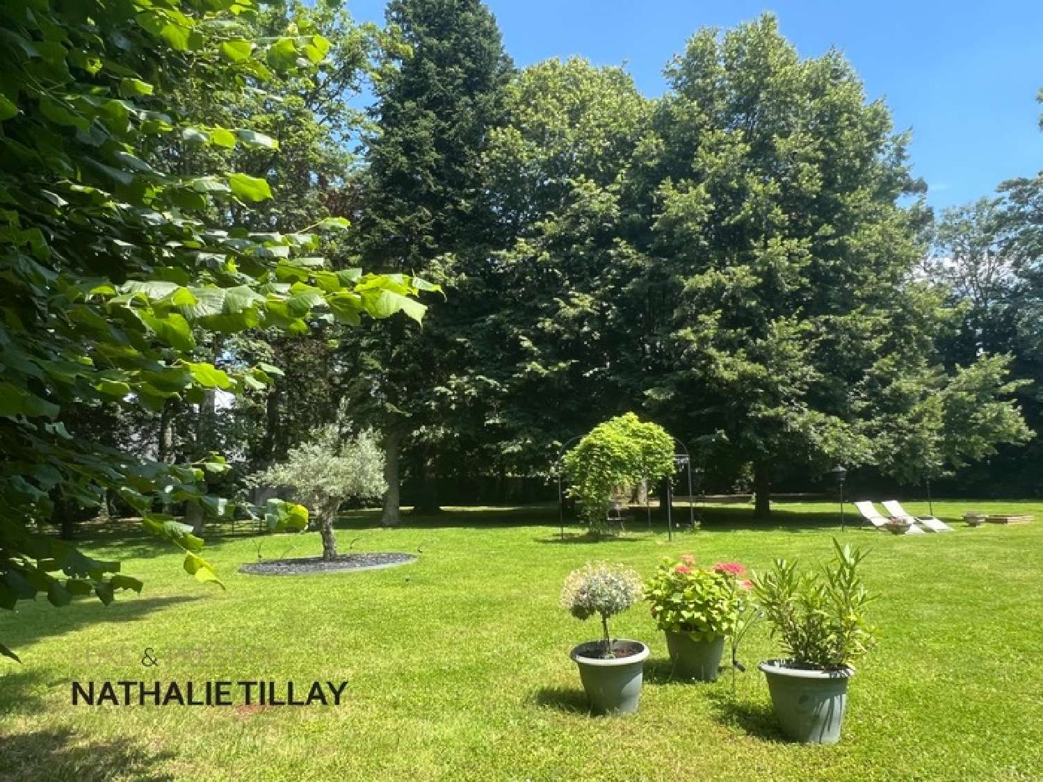 te koop landgoed Saint-Jean-le-Blanc Loiret 3